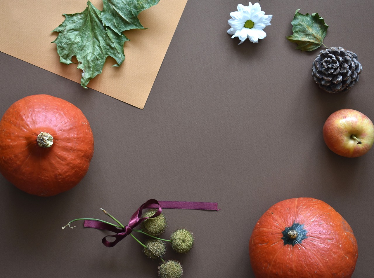 autumn  pumpkins  still life free photo