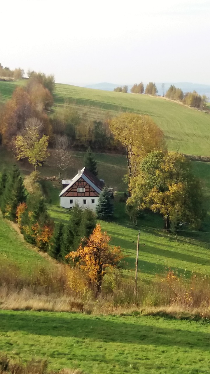 autumn  the jizera mountains  nature free photo