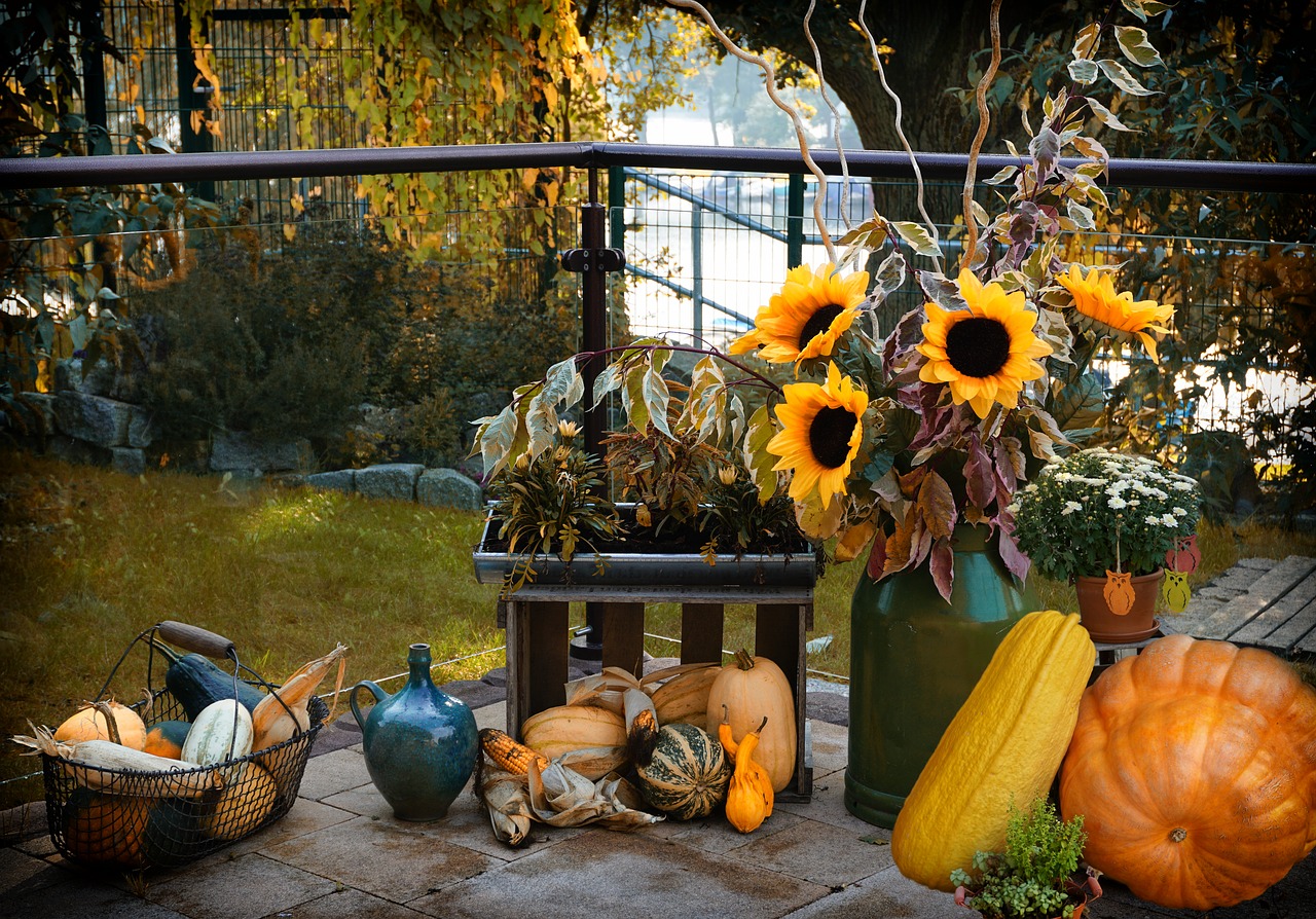 autumn  pumpkin  halloween free photo