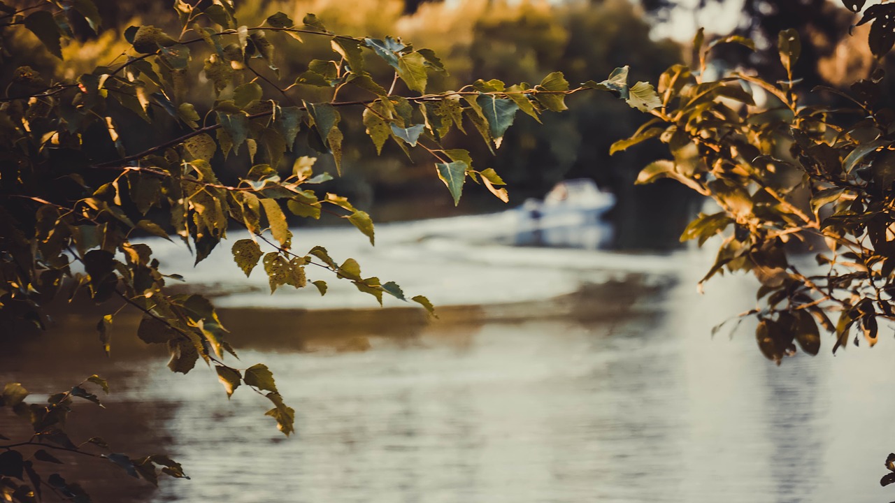 autumn  river  nature free photo