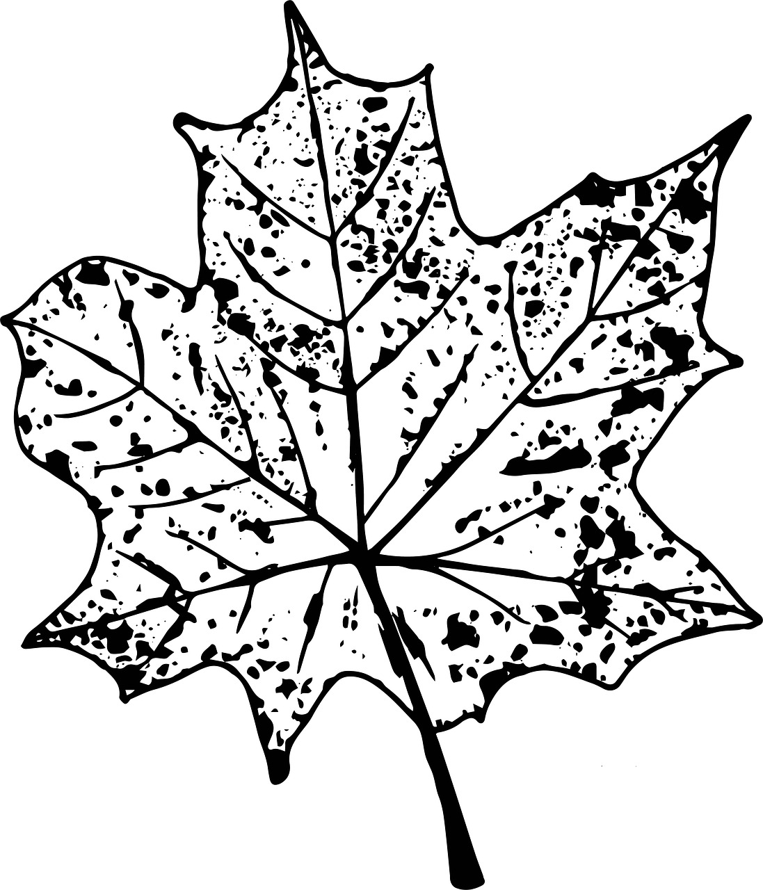 autumn  sheet  imprint free photo