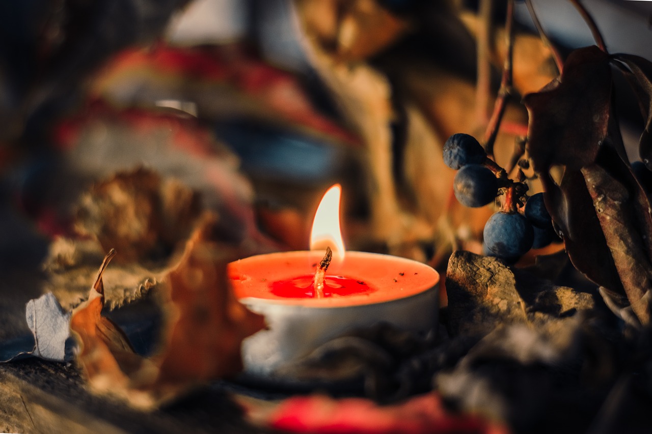 autumn  candle  flame free photo