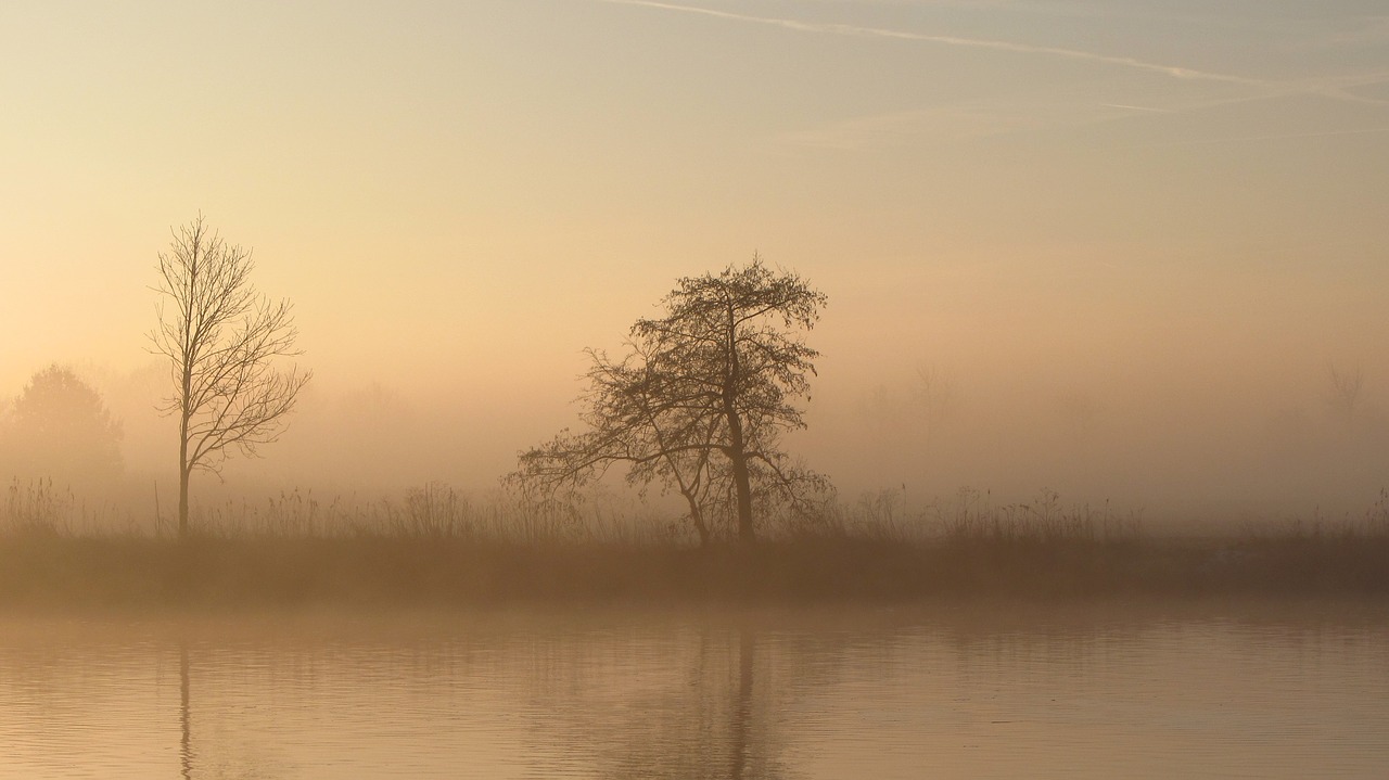 autumn  fog  sunbeam free photo