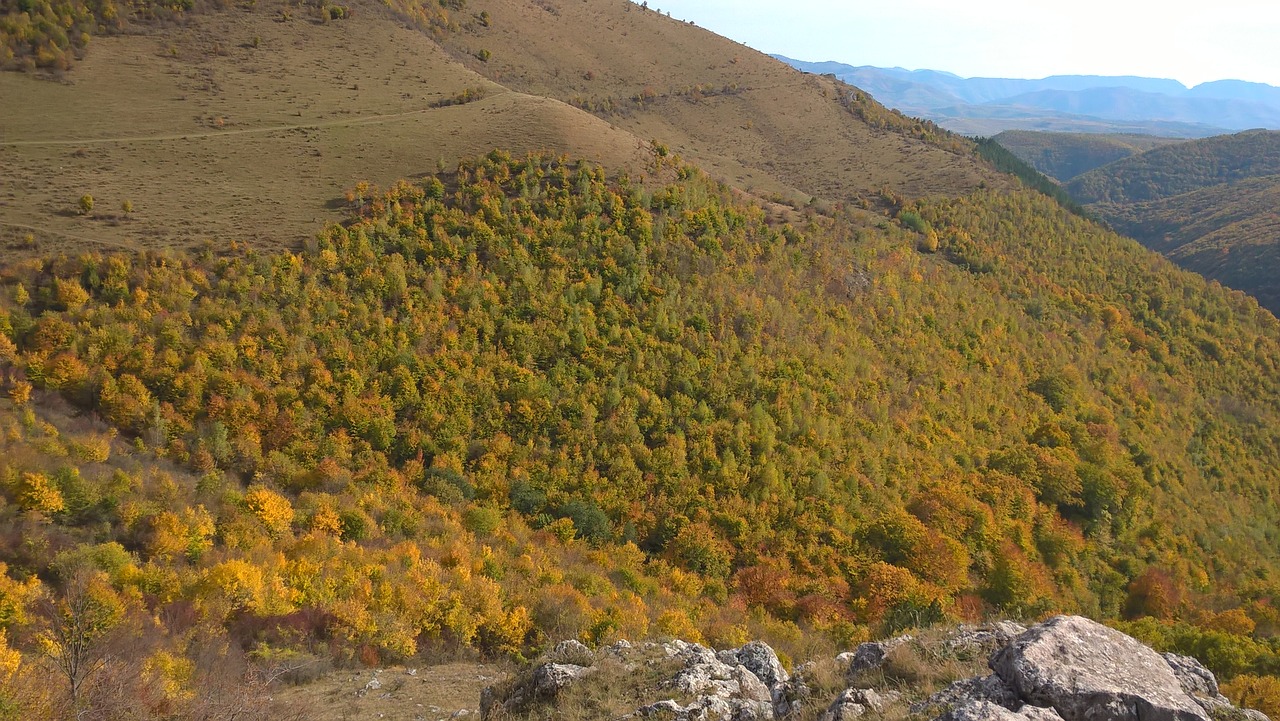 autumn  landscape  nature free photo