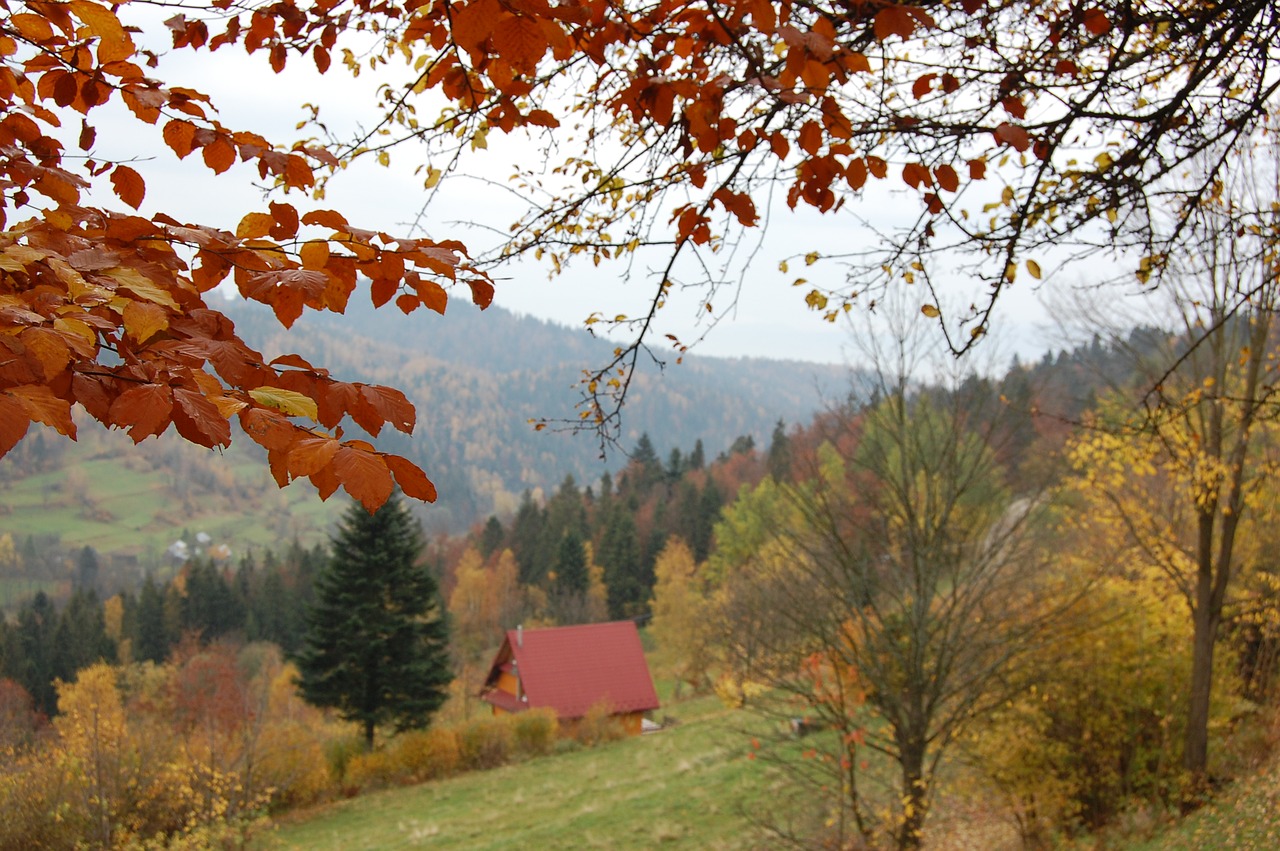 autumn  landscape  mountains free photo