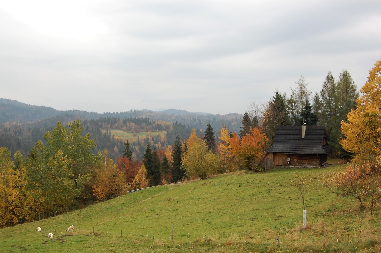 autumn  landscape  twilight free photo