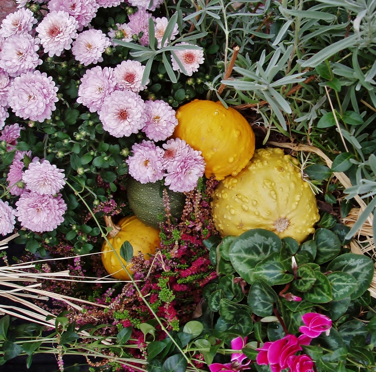 autumn  flowers  arrangement free photo