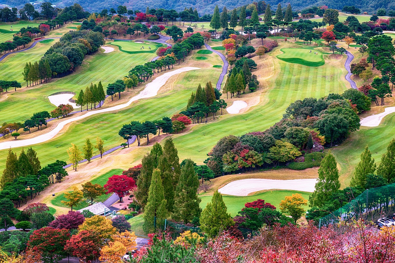 autumn  golf  golf course free photo