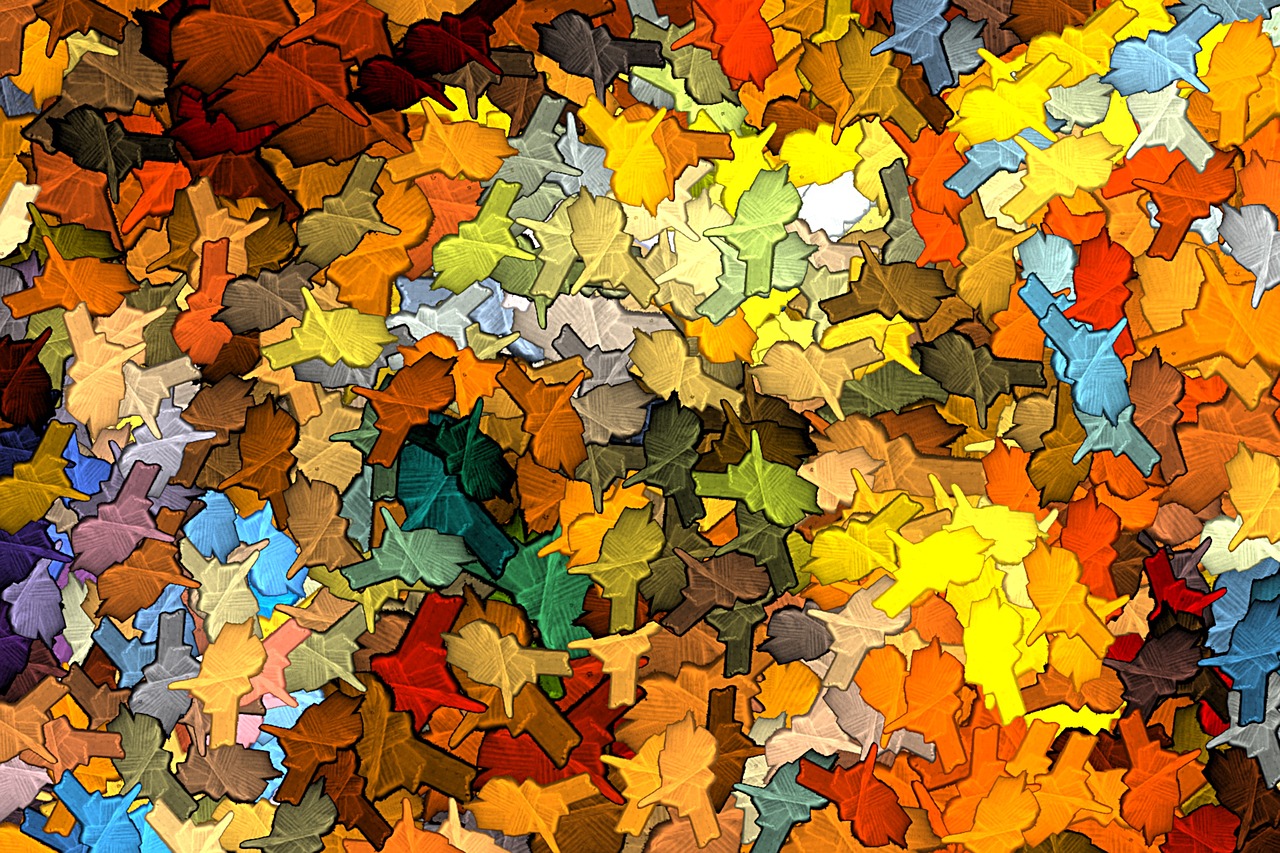 autumn  leaves  color free photo