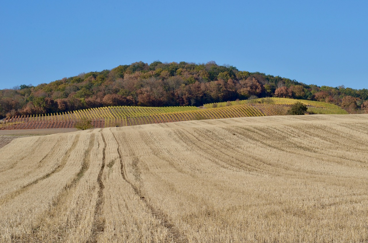 autumn  arable  field free photo