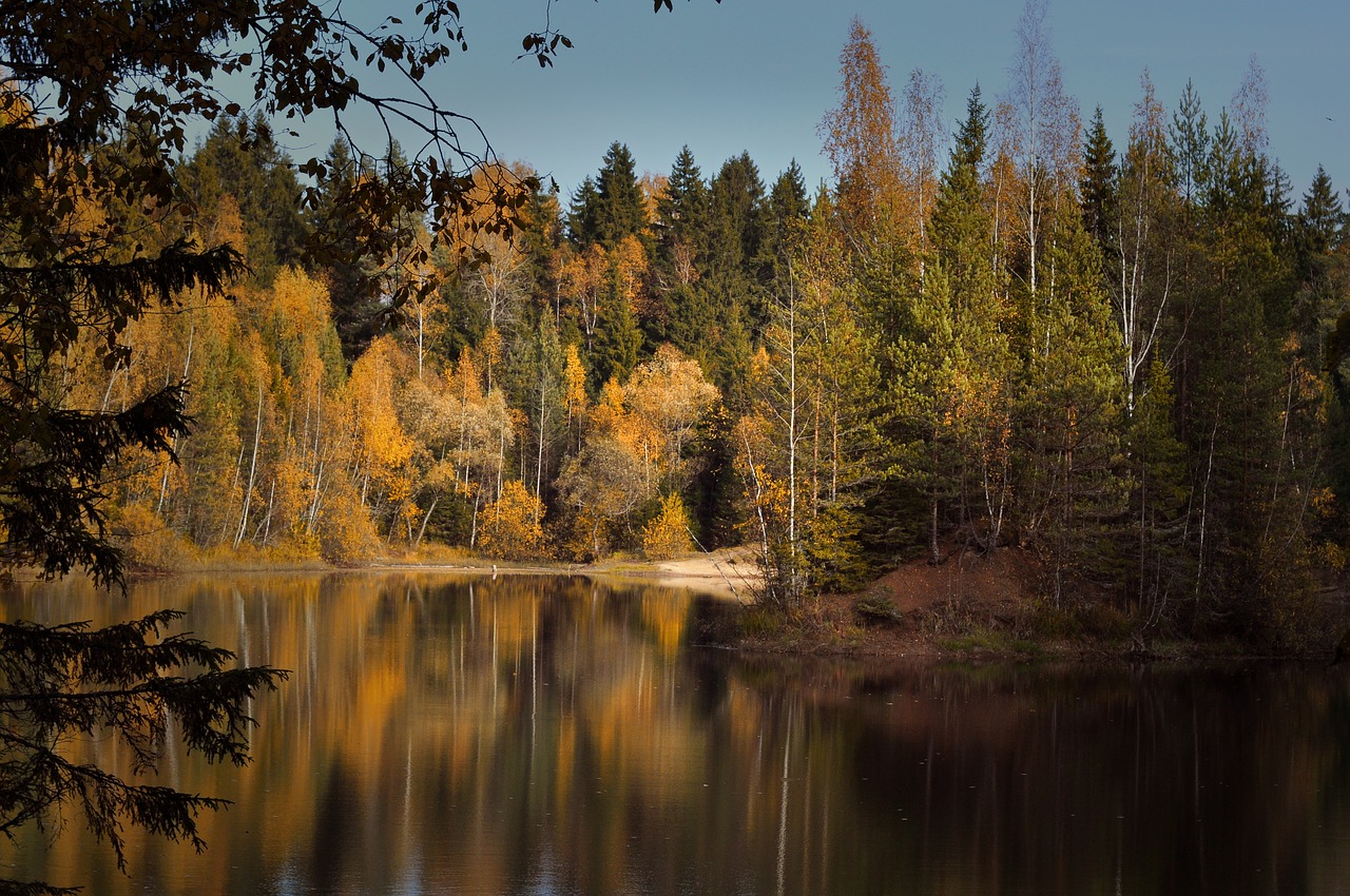 autumn  pond  landscape free photo