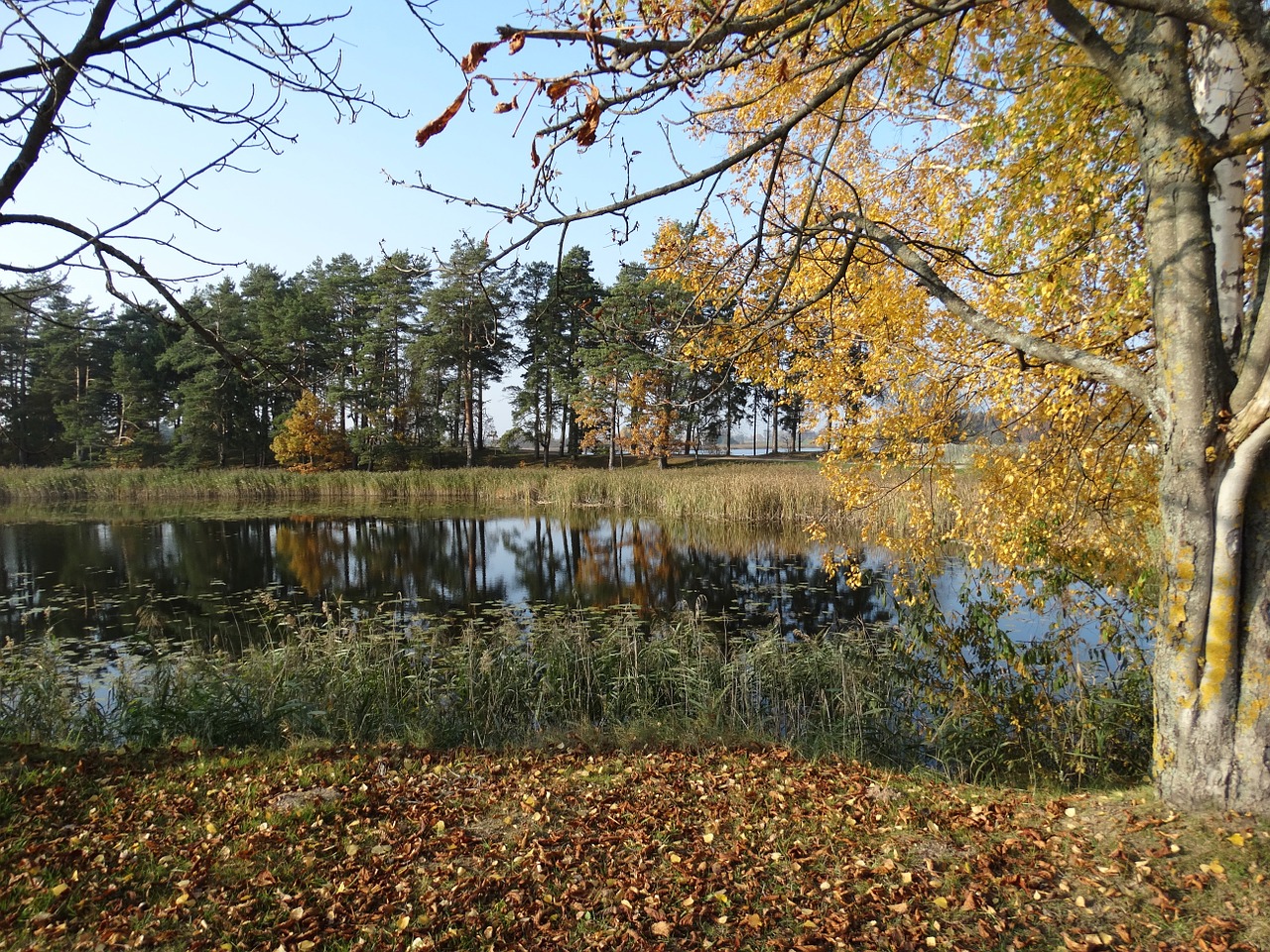 autumn beautiful lake free photo