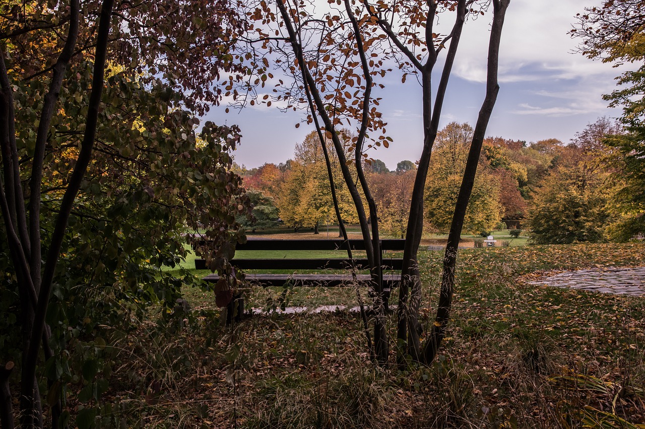 autumn  park bench  nature free photo