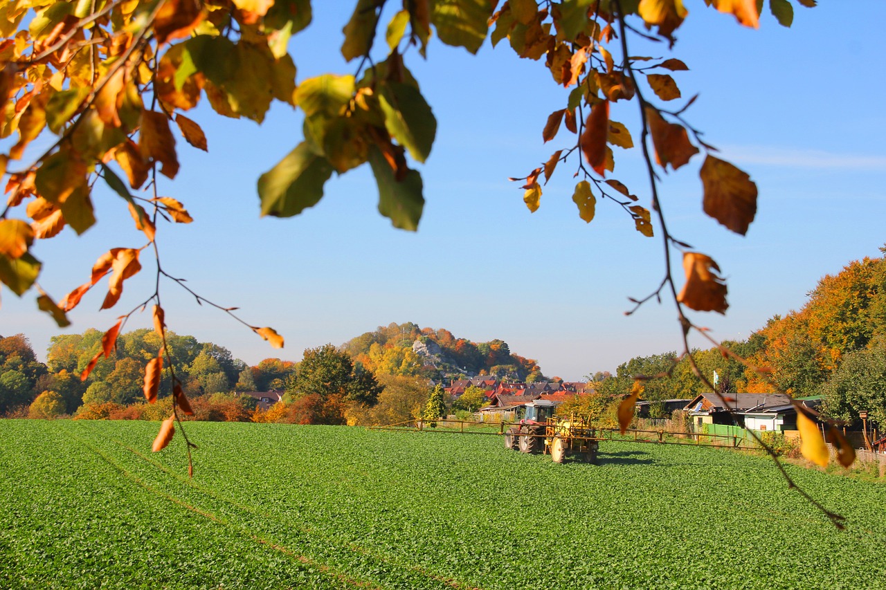 autumn  badsegeberg  chalk mountain free photo