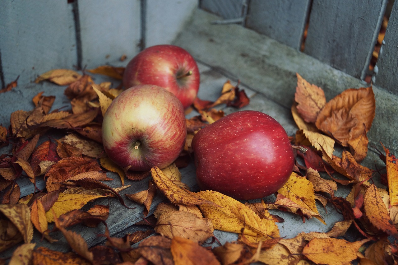 autumn  apple  leaves free photo