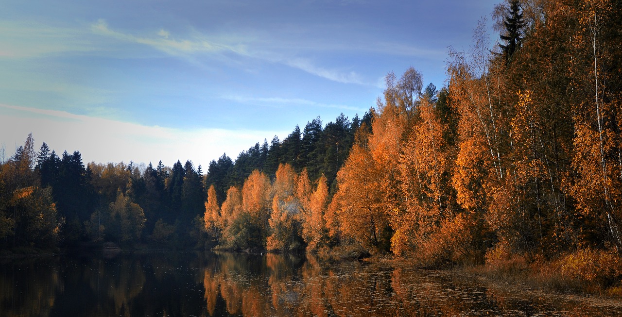 autumn  pond  nature free photo