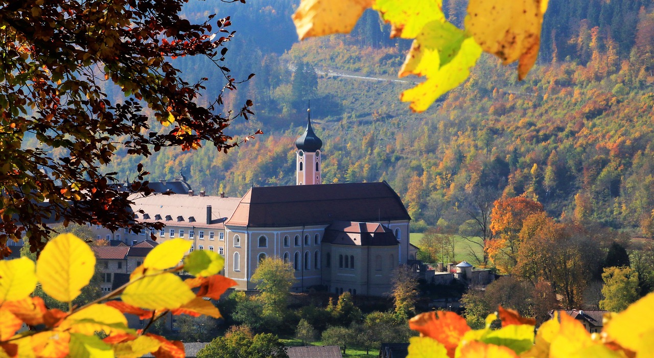 autumn  leaves  monastery free photo