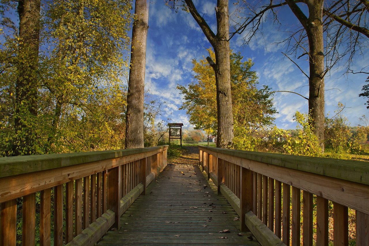 autumn  bridge  landscape free photo