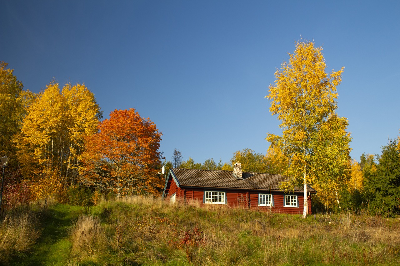 autumn  sweden  nature free photo