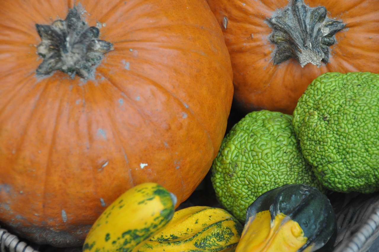 autumn  pumpkin  october free photo