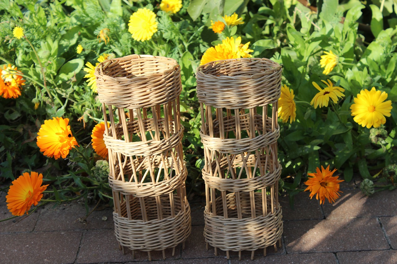 autumn  abendstimmung  baskets free photo