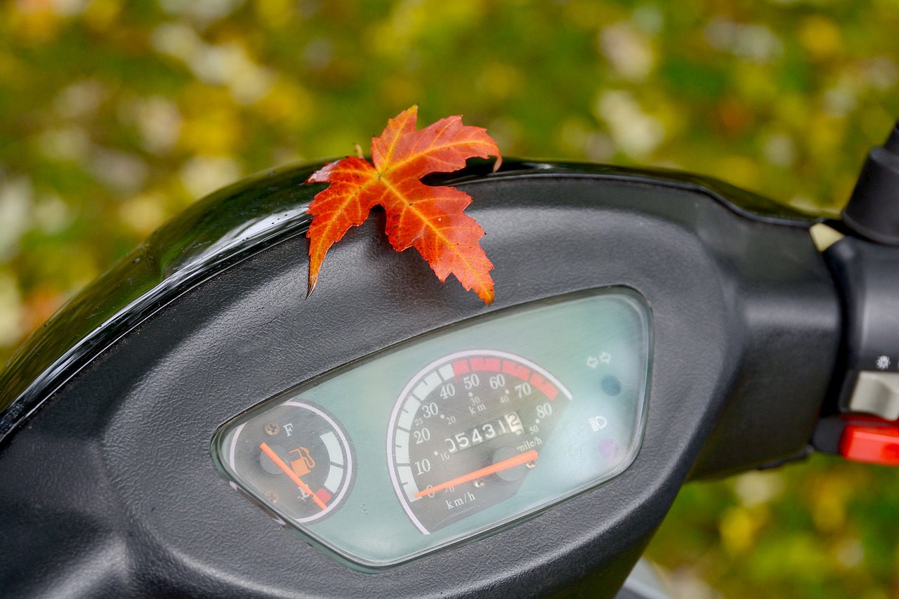 autumn  motor scooter  nature free photo