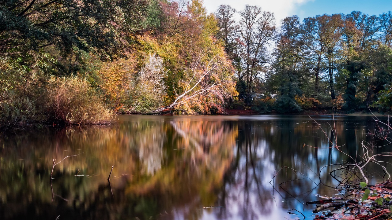 autumn  mirroring  nature free photo