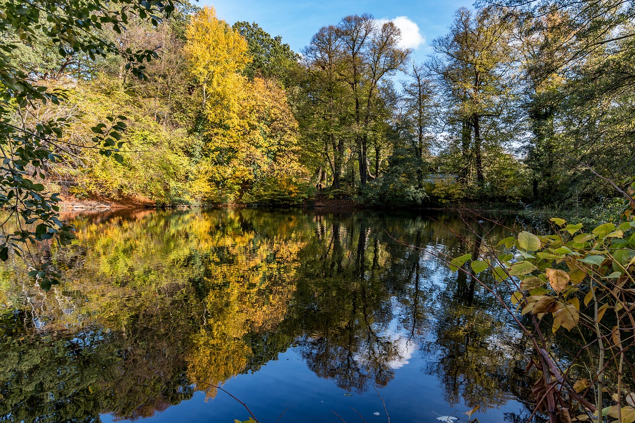 autumn  mirroring  nature free photo