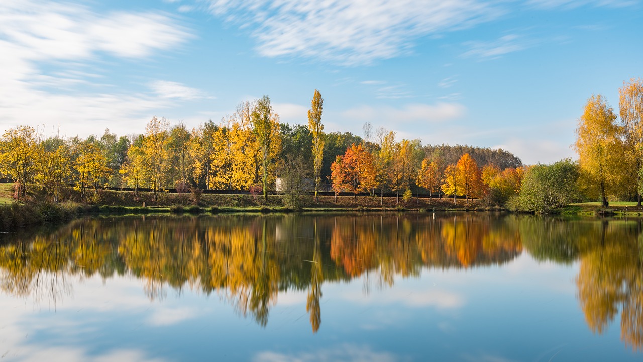 autumn  color of automn  pond free photo