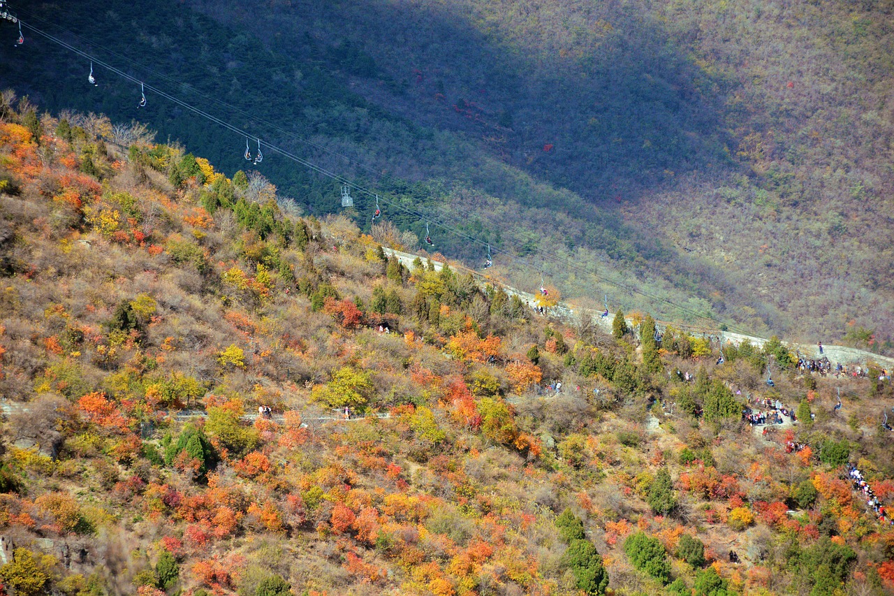 autumn  beijing  fragrant hill free photo