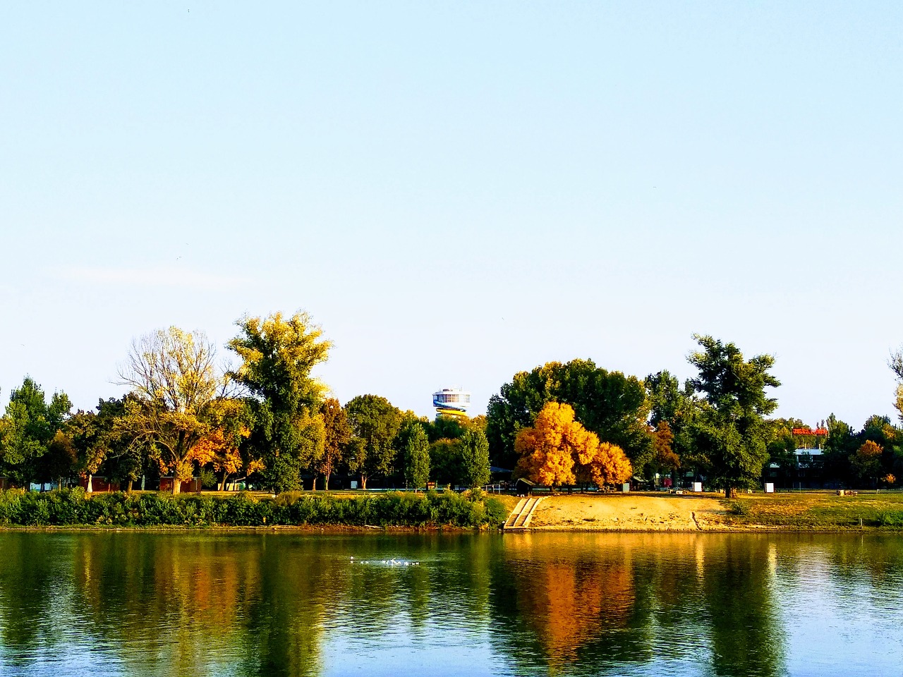 autumn  fall  tisza free photo