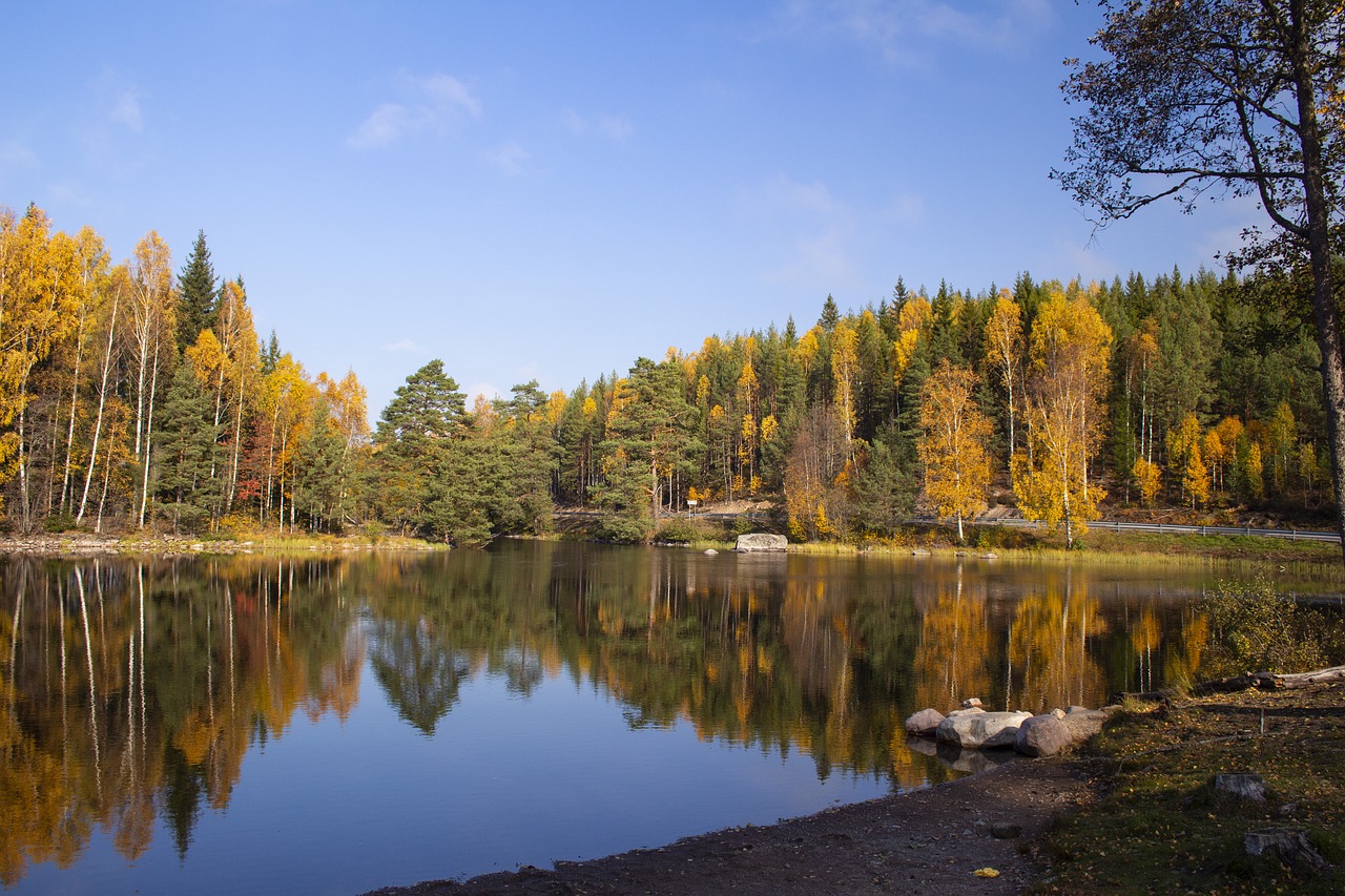 autumn  water  scenic free photo