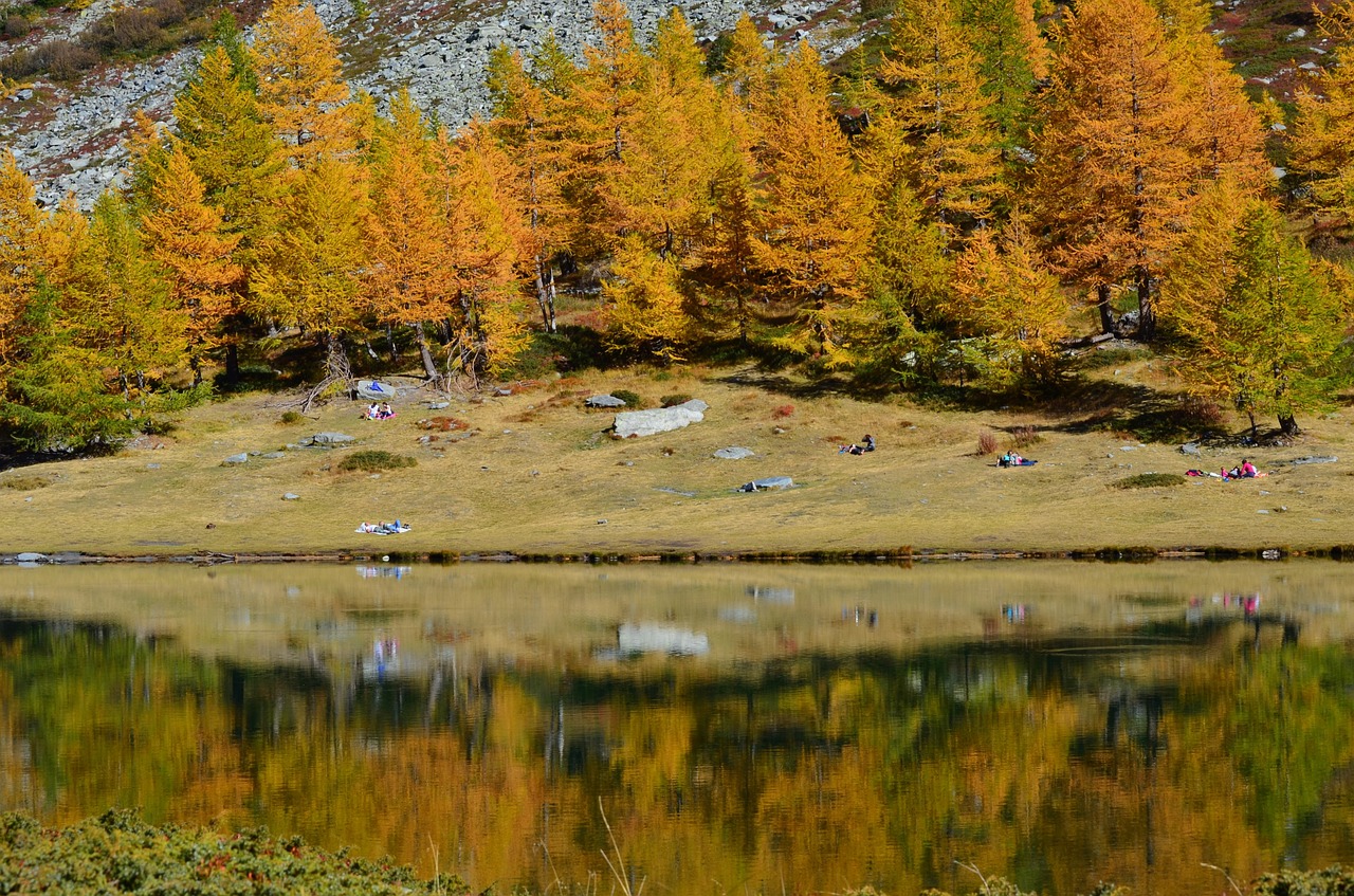 autumn  lake  reflection free photo