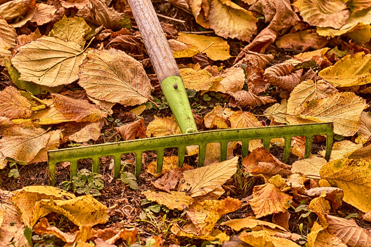 autumn  gardening  computing free photo