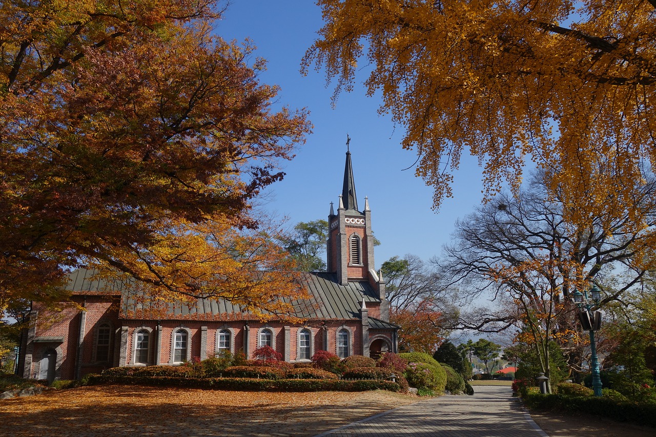 autumn  the offensive of  cathedral free photo