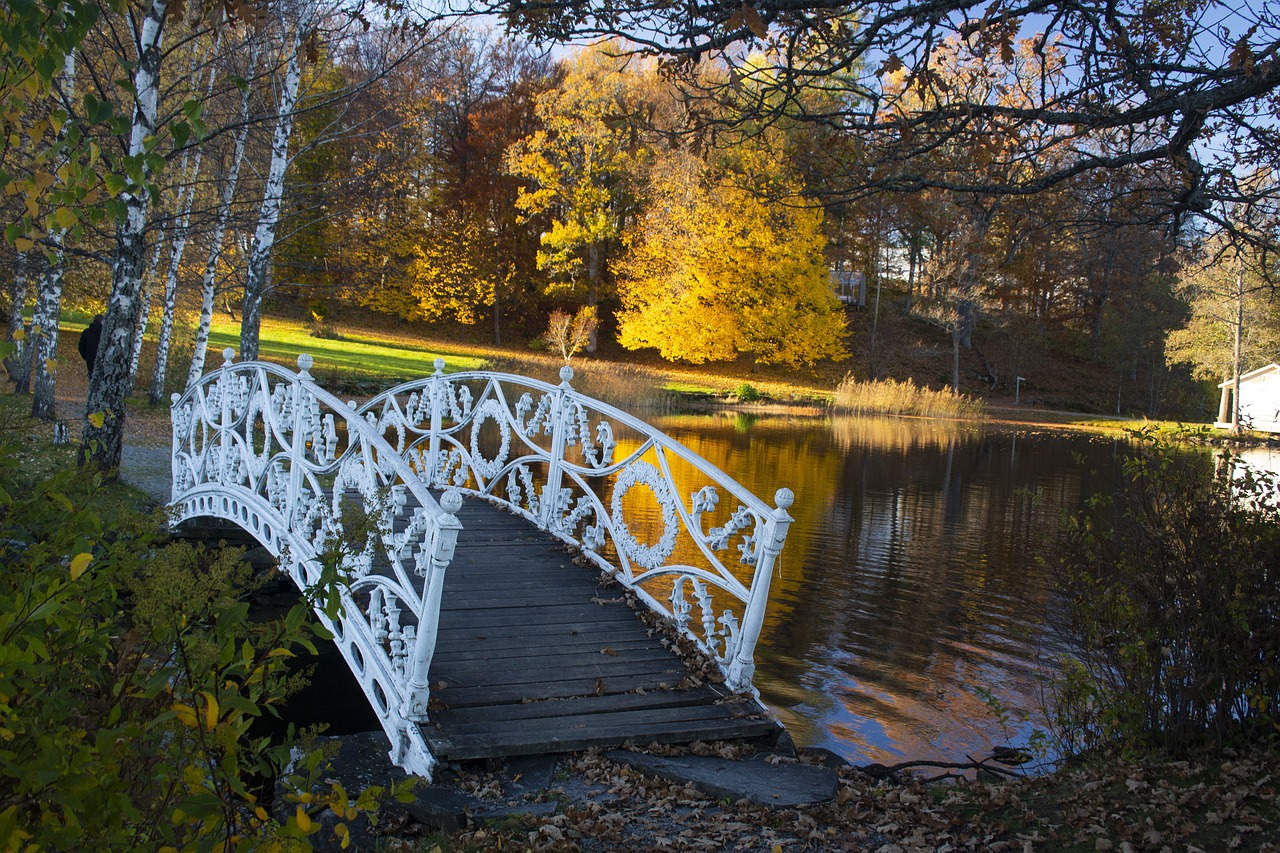 autumn  colorful  waters free photo