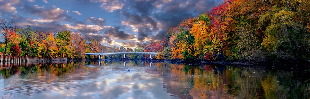 autumn  river  trees free photo