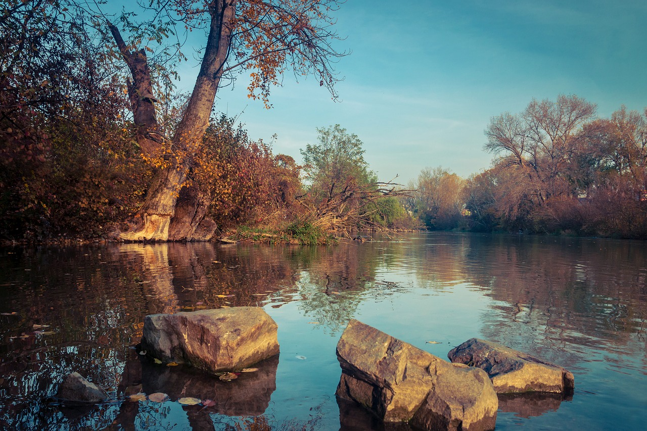 autumn  river  nature free photo