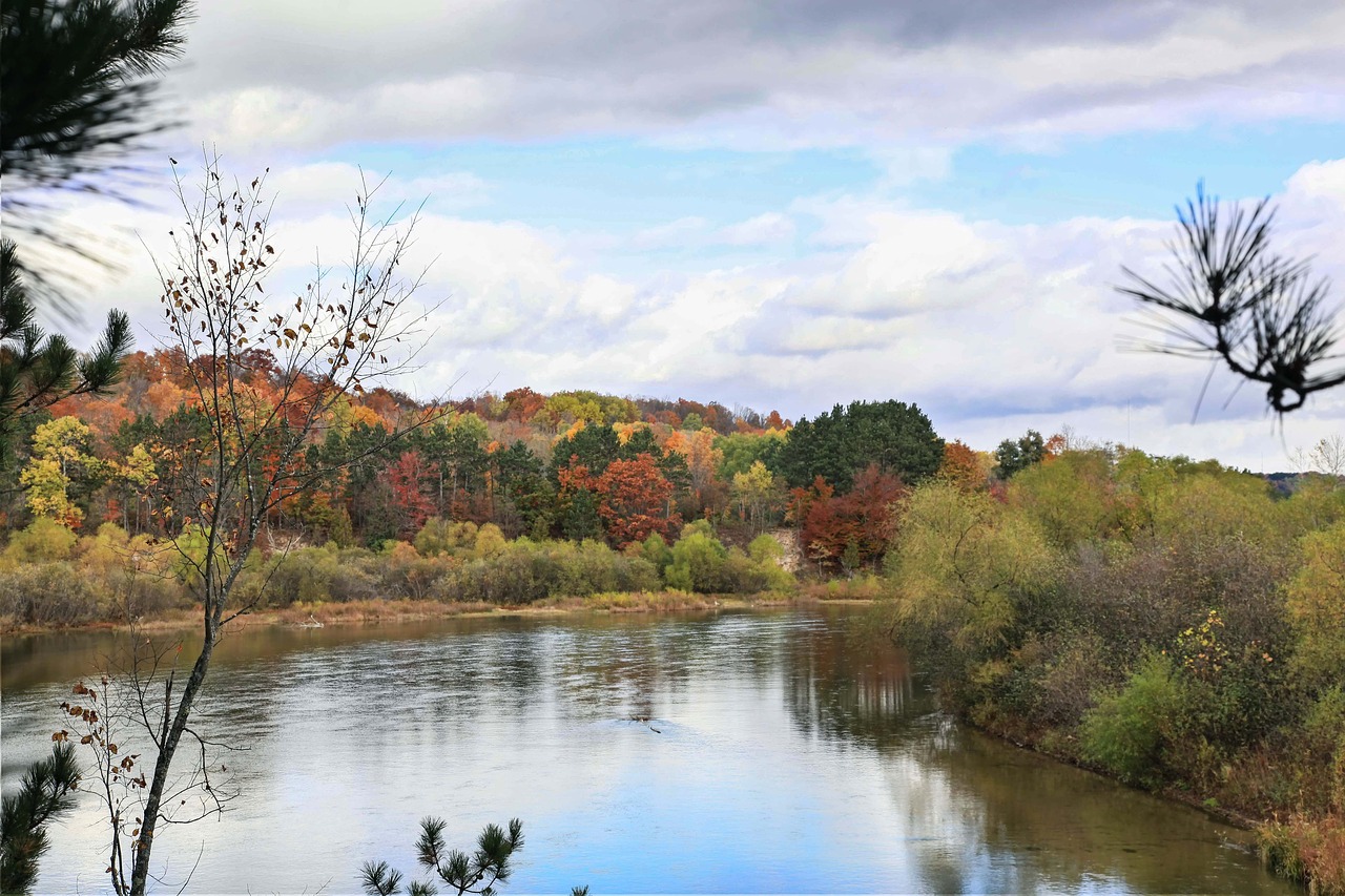 autumn  fall  reflection free photo