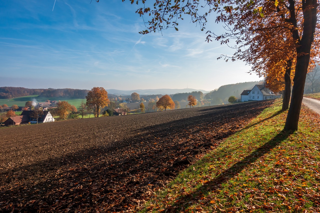 autumn  landscape  away free photo