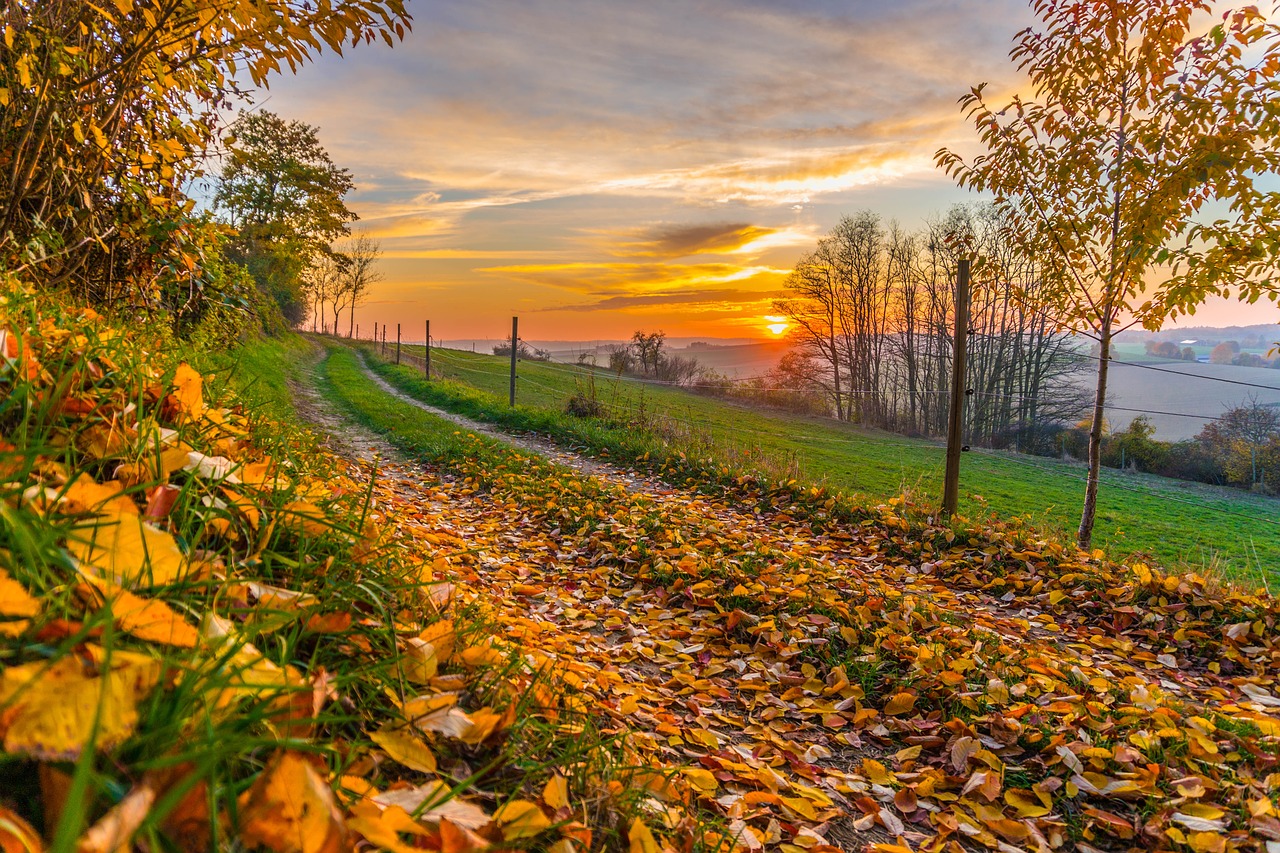 autumn  away  sunset free photo