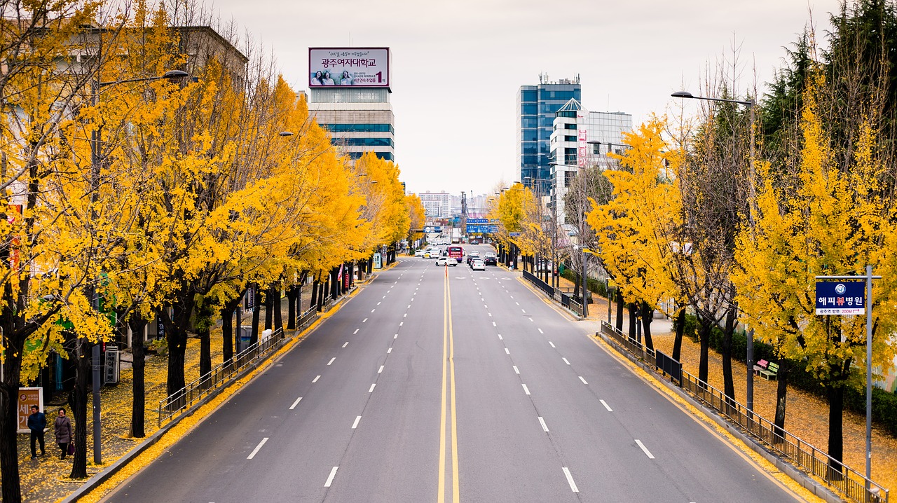 autumn  city  street free photo