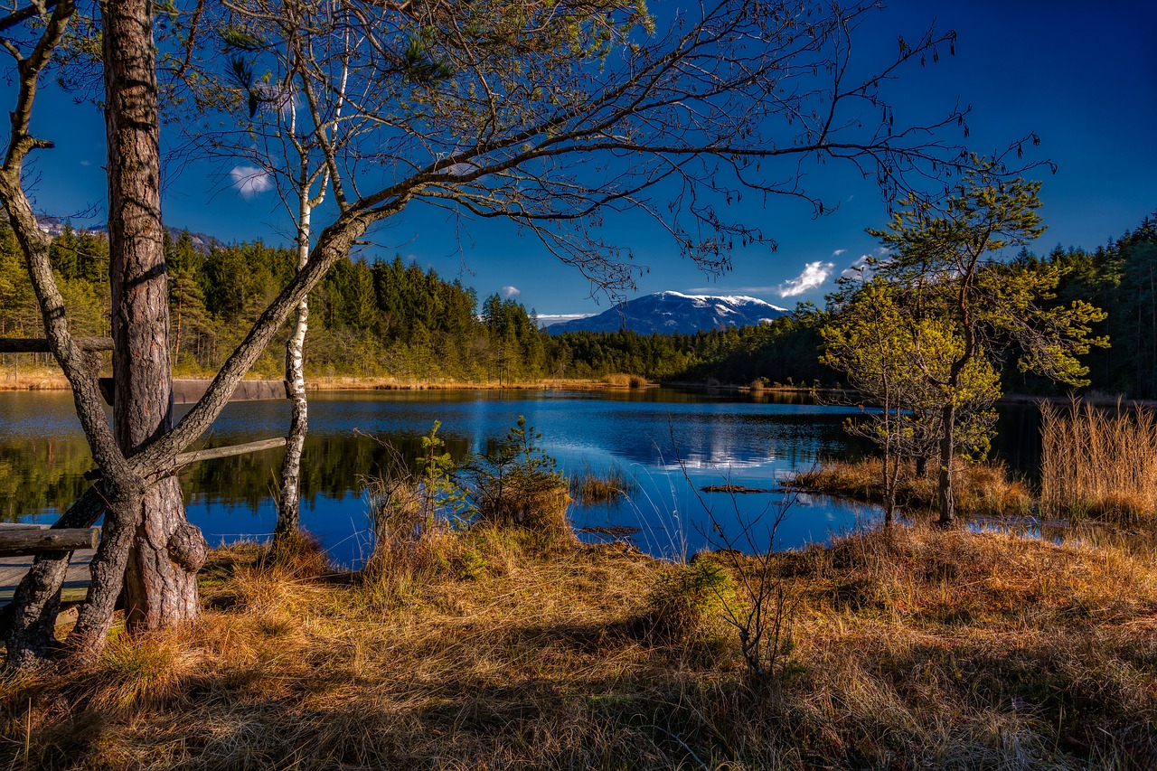 autumn  relax  nature free photo