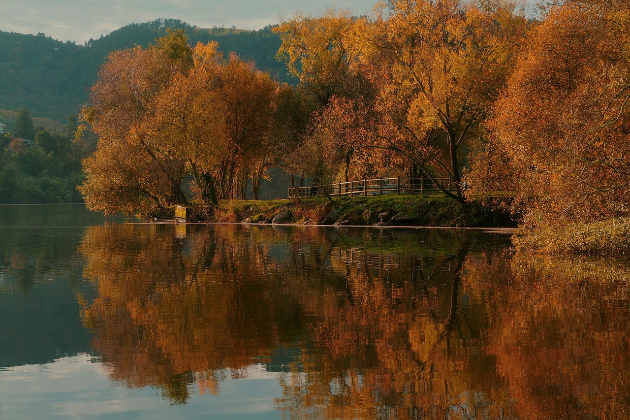 autumn  reflection  projection free photo