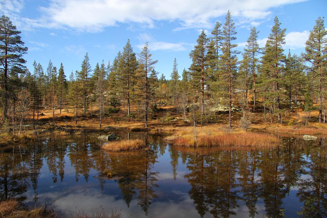 autumn  telemark norway  tindefjell free photo