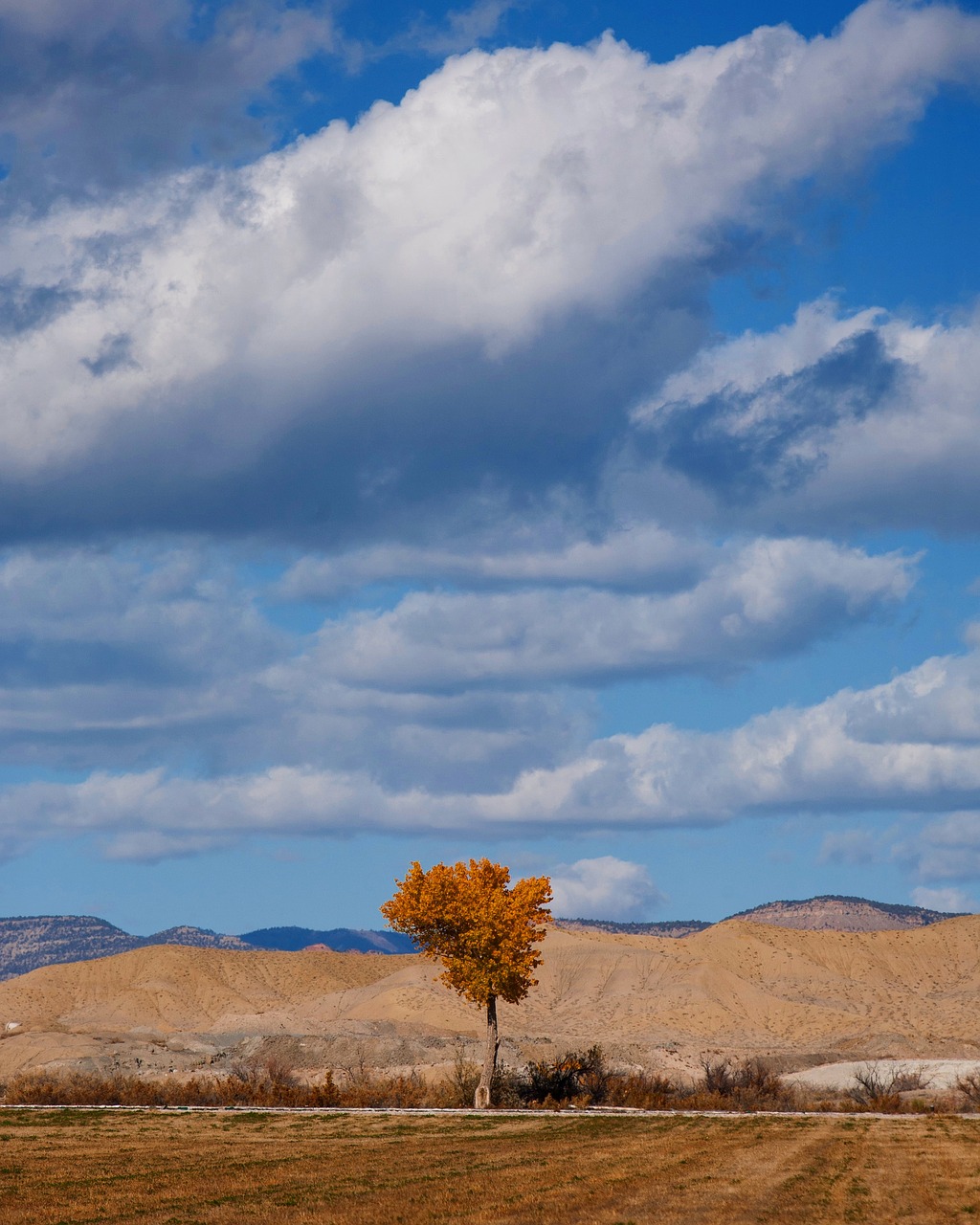 autumn  clouds  tree free photo