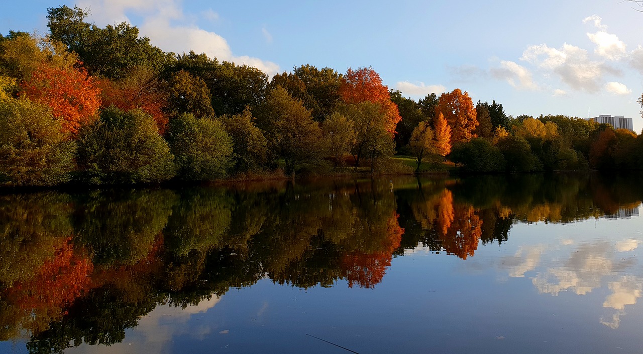 autumn  red  orange free photo