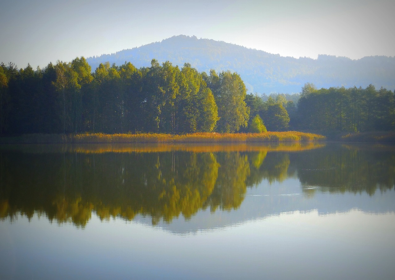 autumn  fish pond  pond free photo