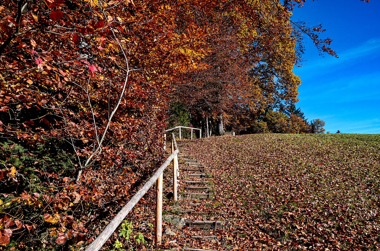 autumn  staircase  nature free photo