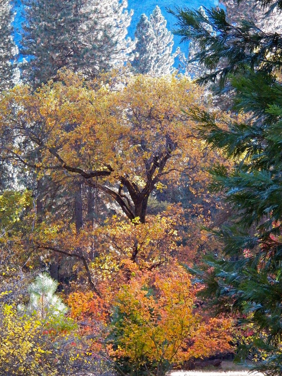 autumn landscape out free photo